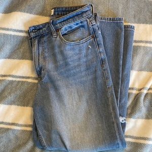 Abercrombie and Fitch Curve Love Mom Jean